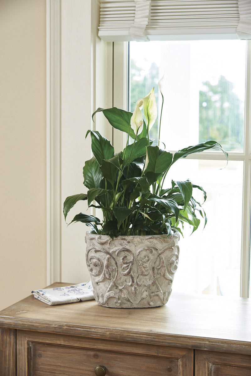 DAMASK CEMENT OVAL CACHE POT