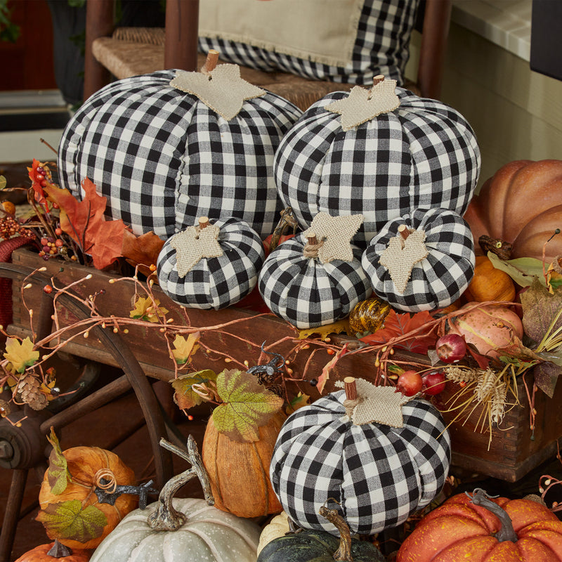 SHORT BLACK AND CREAM CHECK PUMPKIN