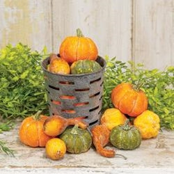 16/Pkg, Colorguard Pumpkins & Gourds